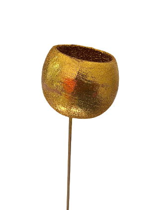 Dried Bell Cup Golden Set of 10 for Vase