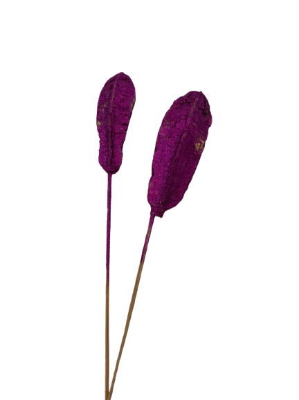 Dried Mahagoni Glitter Violet Set of 10 for Vase
